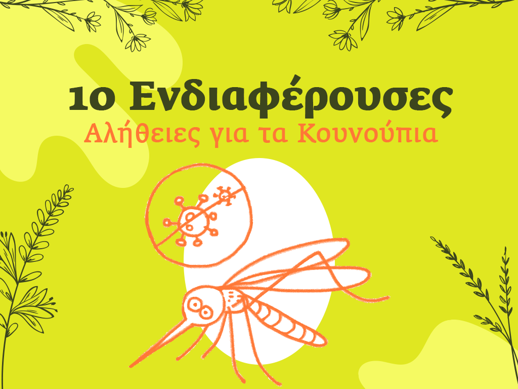 10 Ενδιαφέρουσες Αλήθειες για τα Κουνούπια