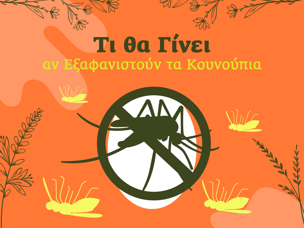 Τι θα Γίνει αν Εξαφανιστούν τα Κουνούπια